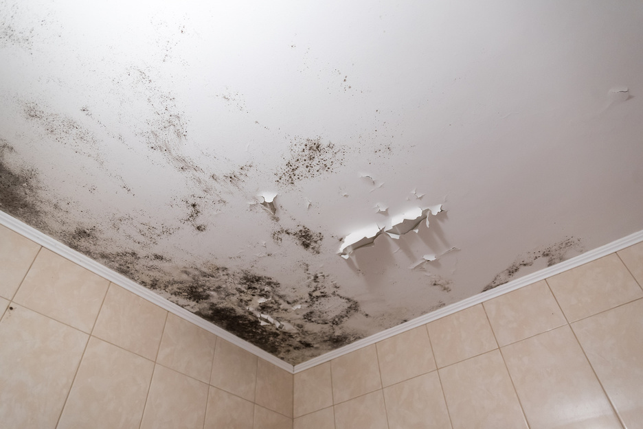 Mancha de humedad y pintura abombada en el techo de un baño